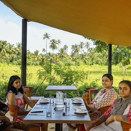 Shunyachi Lotusfeet Hotel Morjim Exterior photo